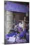 Lavender Display in Shop, Gubbio, Umbria, Italy-Ian Trower-Mounted Photographic Print