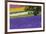 Lavender Farm, Furano, Hokkaido Prefecture, Japan-Keren Su-Framed Photographic Print