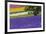 Lavender Farm, Furano, Hokkaido Prefecture, Japan-Keren Su-Framed Photographic Print