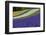 Lavender Farm, Furano, Hokkaido Prefecture, Japan-Keren Su-Framed Photographic Print