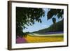 Lavender Farm, Furano, Hokkaido Prefecture, Japan-Keren Su-Framed Photographic Print