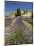 Lavender Farm, Near Cromwell, Central Otago, South Island, New Zealand-David Wall-Mounted Photographic Print