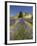 Lavender Farm, Near Cromwell, Central Otago, South Island, New Zealand-David Wall-Framed Photographic Print