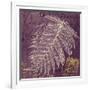 Lavender Fern-Booker Morey-Framed Art Print