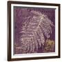 Lavender Fern-Booker Morey-Framed Art Print