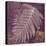 Lavender Fern-Booker Morey-Stretched Canvas