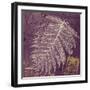 Lavender Fern-Booker Morey-Framed Art Print