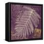 Lavender Fern-Booker Morey-Framed Stretched Canvas