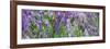 Lavender Field, 2018-Helen White-Framed Giclee Print