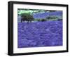 Lavender Field and Almond Tree, Provance, France-David Barnes-Framed Photographic Print