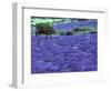 Lavender Field and Almond Tree, Provance, France-David Barnes-Framed Photographic Print