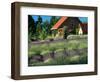 Lavender Field and Gift Shop, Sequim, Washington, USA-Jamie & Judy Wild-Framed Photographic Print