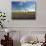 Lavender Field and Vineyard, Walla Walla, Washington, USA-Richard Duval-Photographic Print displayed on a wall