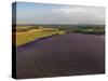 Lavender Field around Valensole-Guido Cozzi-Stretched Canvas