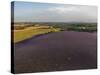 Lavender Field around Valensole-Guido Cozzi-Stretched Canvas