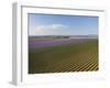 Lavender Field around Valensole-Guido Cozzi-Framed Photographic Print