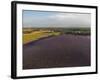 Lavender Field around Valensole-Guido Cozzi-Framed Photographic Print