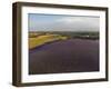 Lavender Field around Valensole-Guido Cozzi-Framed Photographic Print