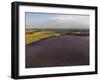 Lavender Field around Valensole-Guido Cozzi-Framed Photographic Print