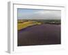 Lavender Field around Valensole-Guido Cozzi-Framed Photographic Print