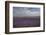 Lavender Field around Valensole-Guido Cozzi-Framed Photographic Print