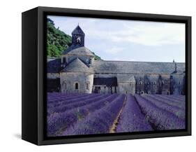 Lavender Field at Abbeye du Senanque-Owen Franken-Framed Stretched Canvas