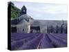 Lavender Field at Abbeye du Senanque-Owen Franken-Stretched Canvas