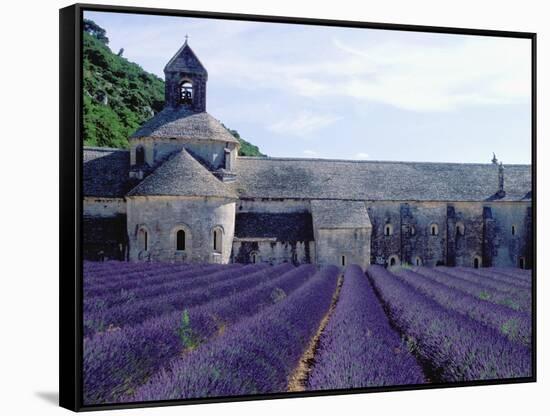 Lavender Field at Abbeye du Senanque-Owen Franken-Framed Stretched Canvas