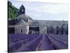 Lavender Field at Abbeye du Senanque-Owen Franken-Stretched Canvas