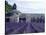 Lavender Field at Abbeye du Senanque-Owen Franken-Stretched Canvas