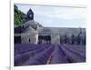 Lavender Field at Abbeye du Senanque-Owen Franken-Framed Photographic Print