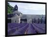 Lavender Field at Abbeye du Senanque-Owen Franken-Framed Photographic Print