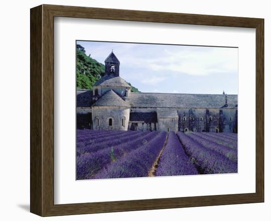 Lavender Field at Abbeye du Senanque-Owen Franken-Framed Photographic Print