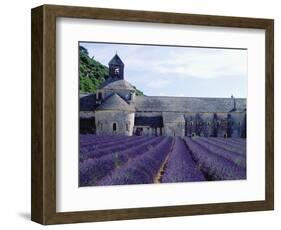 Lavender Field at Abbeye du Senanque-Owen Franken-Framed Photographic Print