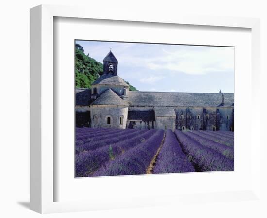 Lavender Field at Abbeye du Senanque-Owen Franken-Framed Photographic Print