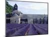 Lavender Field at Abbeye du Senanque-Owen Franken-Mounted Photographic Print