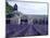 Lavender Field at Abbeye du Senanque-Owen Franken-Mounted Photographic Print