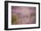 Lavender field close to Detmold in East Westphalia.-Nadja Jacke-Framed Photographic Print