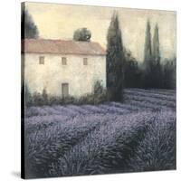 Lavender Field Detail-James Wiens-Stretched Canvas