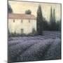 Lavender Field Detail-James Wiens-Mounted Premium Giclee Print