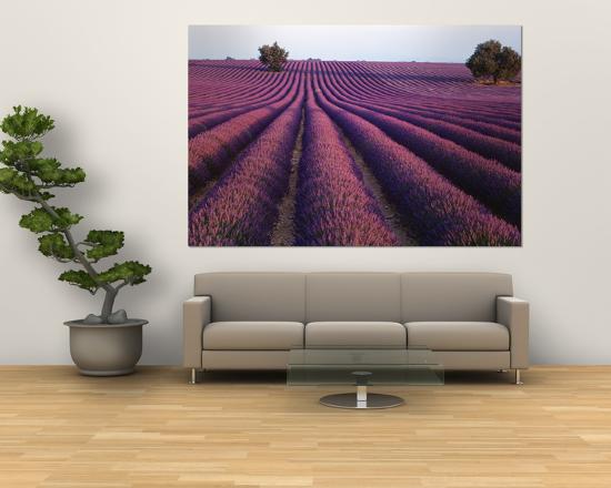 Giant Art Print, , large