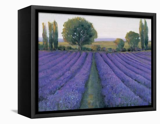 Lavender Field II-null-Framed Stretched Canvas