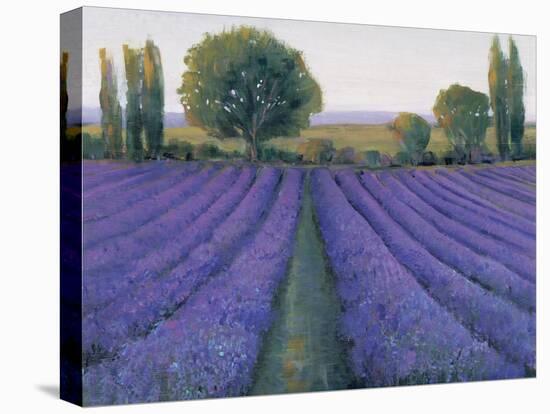 Lavender Field II-null-Stretched Canvas