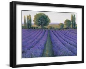 Lavender Field II-null-Framed Art Print