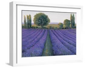 Lavender Field II-null-Framed Art Print