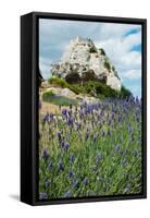 Lavender Field in Front of Ruins of Fortress on a Rock, Les Baux-De-Provence, Bouches-Du-Rhone-null-Framed Stretched Canvas