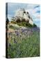 Lavender Field in Front of Ruins of Fortress on a Rock, Les Baux-De-Provence, Bouches-Du-Rhone-null-Stretched Canvas