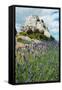 Lavender Field in Front of Ruins of Fortress on a Rock, Les Baux-De-Provence, Bouches-Du-Rhone-null-Framed Stretched Canvas