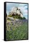 Lavender Field in Front of Ruins of Fortress on a Rock, Les Baux-De-Provence, Bouches-Du-Rhone-null-Framed Stretched Canvas