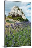 Lavender Field in Front of Ruins of Fortress on a Rock, Les Baux-De-Provence, Bouches-Du-Rhone-null-Mounted Photographic Print